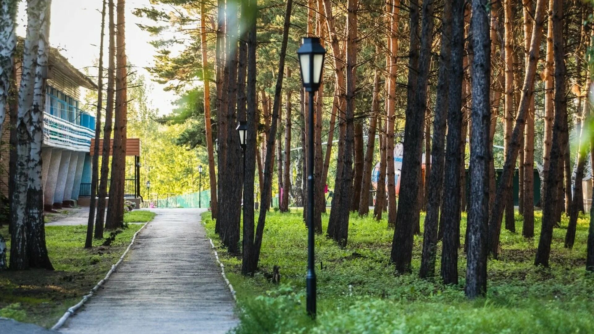санаторий профилакторий новосибирск. отдых санатории новосибирск. сибиряк санаторий бердск. санаторий новосибирска восток 2021. краснозерка санаторий новосибирская.