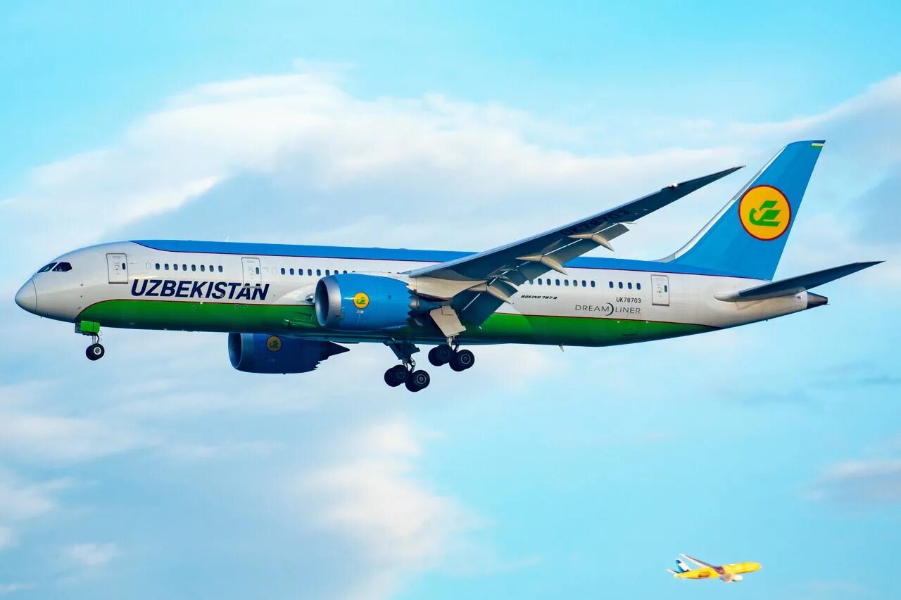 Узбекские линии. Боинг 787 Uzbekistan. Боинг Дримлайнер 787 узбекские авиалинии. Uzbekistan Airways Боинг 757. Боинг 787 Узбекистон хаво йуллари.