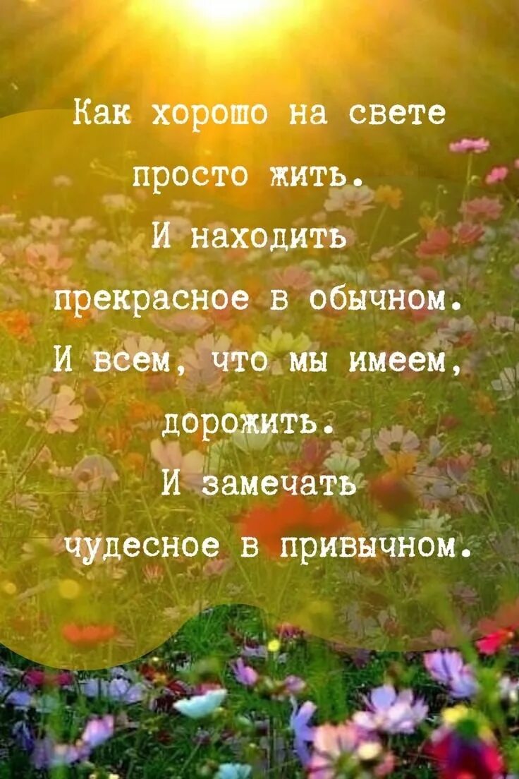 Весной всегда легче. Красивые добрые высказывания. Афоризмы о добром утре. Позитивные изречения. Красивые цитаты на каждый день.