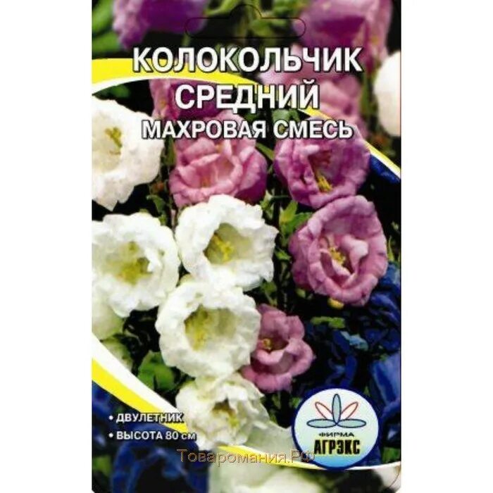 Семена колокольчика махрового. Колокольчик средний махровый двулетник. Кампанула махровая смесь. ПЦ/колокольчик средний махровый смесь 0,1гр двулет. Колокольчик средний смесь окрасок двулетник.