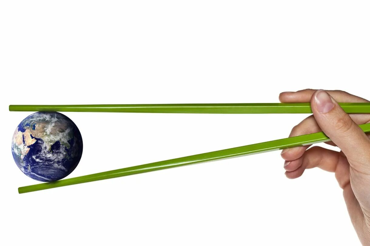 Палочка для рыхления комнатных растений. Земля палка. Палка в земле. Рыхлить землю в горшке. Лозина это прутики.