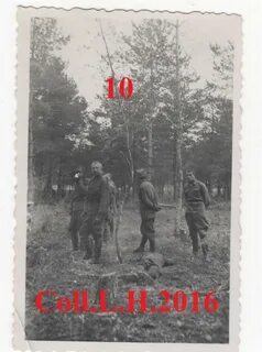 Лето 1941 2022