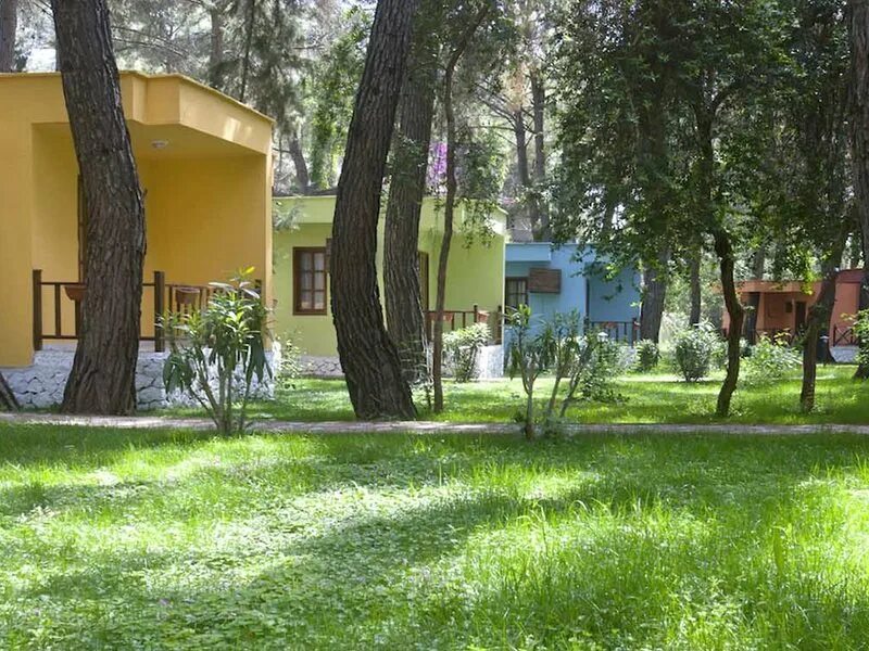 Club pinara hotel 4. Beach club pinara 4. Пинара отель турция кемер. Пинара отель турция кемер. Пинара отель турция кемер.