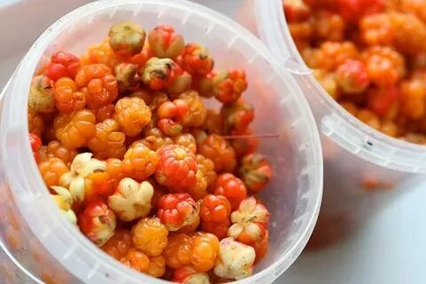 Сушеная морошка