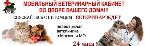 Усыпление на дому москва
