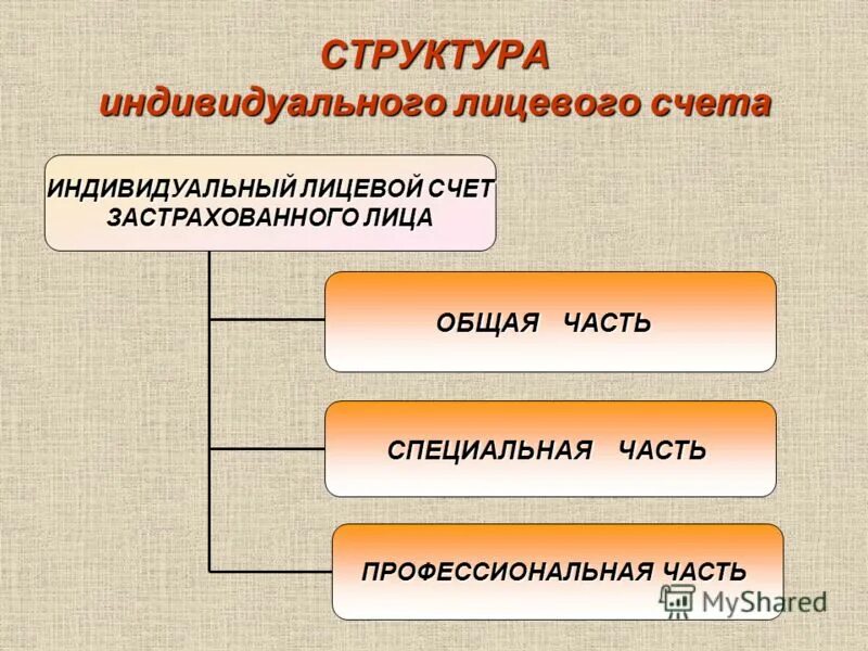 Разделы индивидуального лицевого счета застрахованного