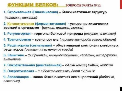 Католическая функция белков
