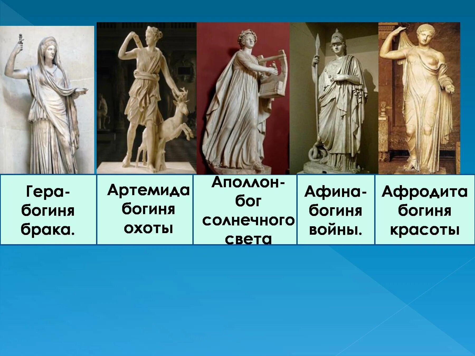 Какие силы отражал аполлон. Боги древней греции афина, аполлон,.