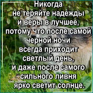Мой компас земной дзен