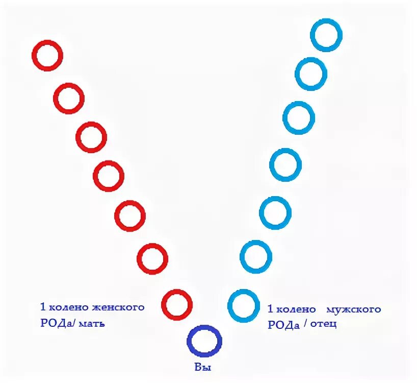 Род до седьмого колена. Поколения рода. Родовое колено. Схема рода до 7 колена. 7 поколений это сколько человек.