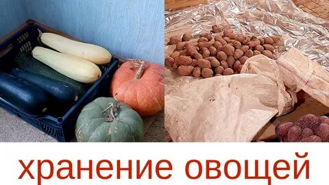 Хранить овощи сложное слово существительное