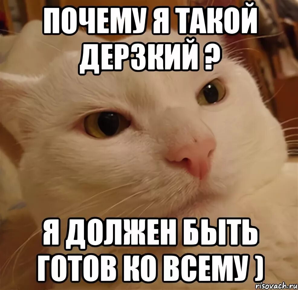 Был готов все подошло. Готов ко всему. Мем готовым ко всему. Я готова ко всему Мем. Будь готова ко всему.