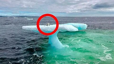 Случайно это одна из самых