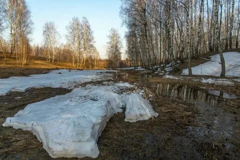 Последний снег небеса