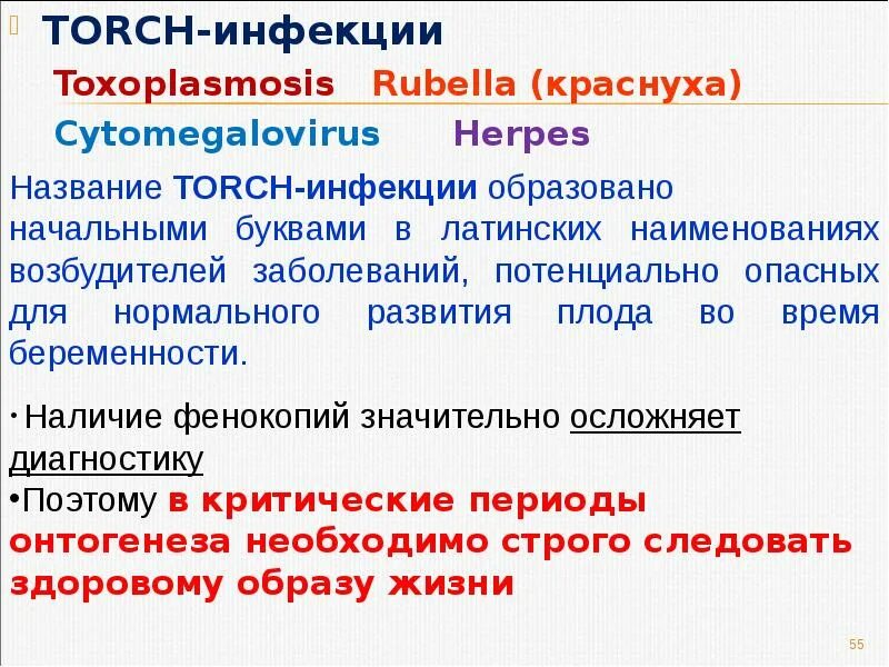 Торч инфекции что это. Торч инфекции. torch инфекции список. носитель torch инфекции. торч инфекции диагностика.