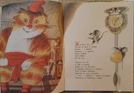 Заболоцкий коты