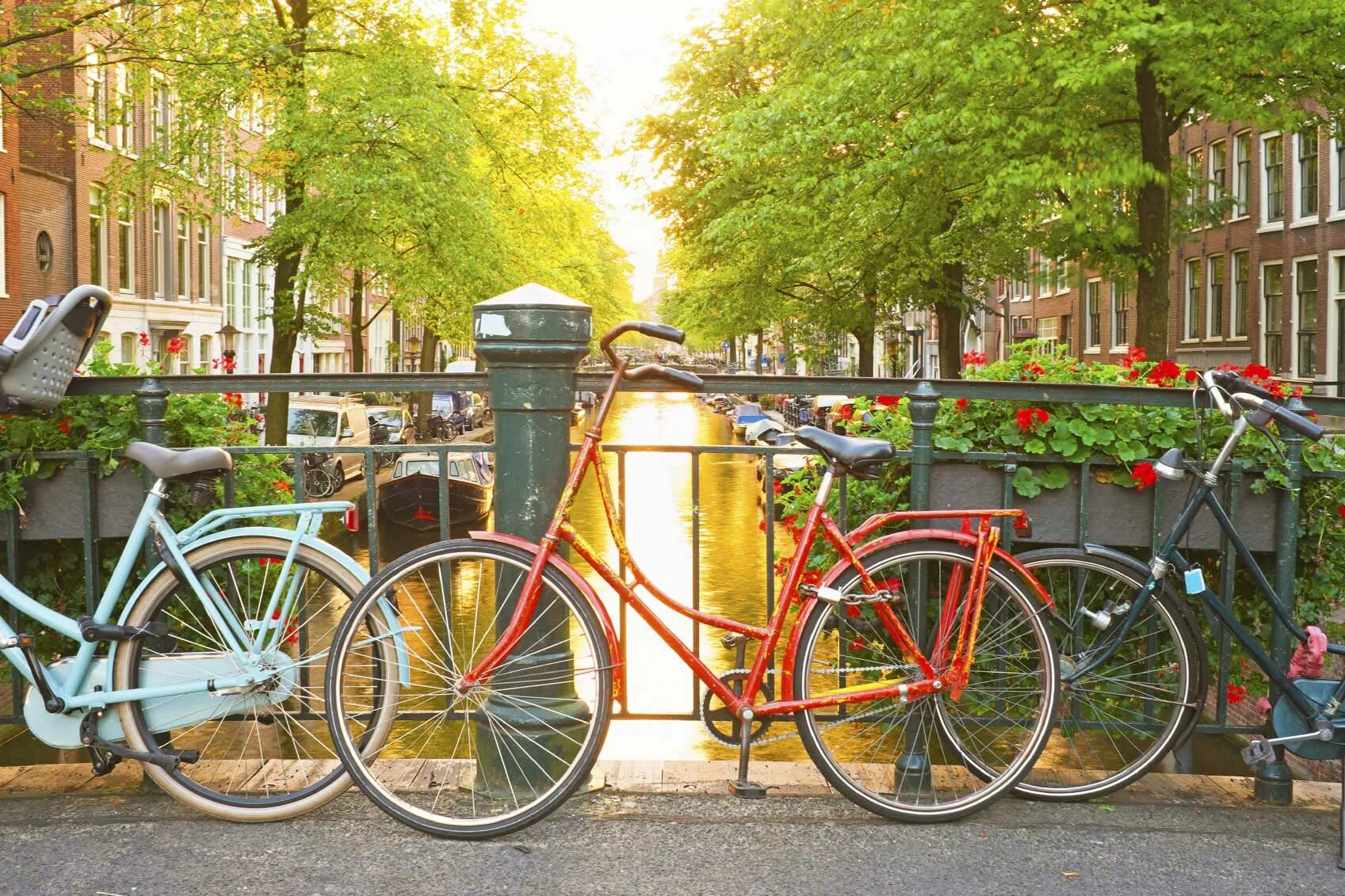 Как открыть welcome to amsterdam