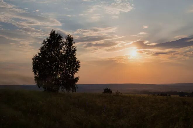 Сукачев ковыль равнина дорогая. Есенин ковыль. Иллюстрация Есенина спит ковыль.