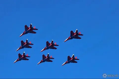 Почему стрижи летают высоко