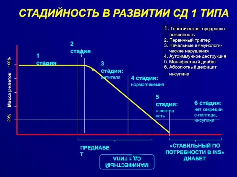 Сд 01. Клинические стадии сахарного диабета 1 типа. Стадии развития СД 1 типа. Стадии течения СД 1 типа. Стадии развития СД 2 типа.