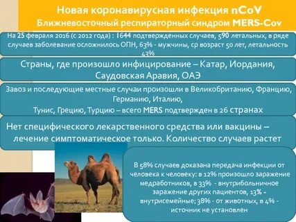 Новый вид коронавирусной инфекции