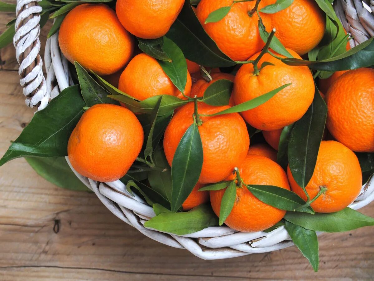 Мандарины Муркотт. Лимандарин Неаполь Citrus otaitensis di Napoli. Корзинка с мандаринами. Корзинка с апельсинами. Можно ли ребенку мандарины