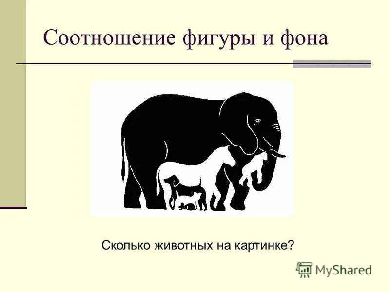 сколько на свете животных. сколько животных ты видишь на картинке. сколько зверей на картинке. сколько животных и сколько зверей. сколько живетный на картинке.