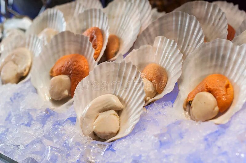 Ракушки с чесноком. Scallops on Ice. Scallops in on Ice. Deniz Taraği что это.