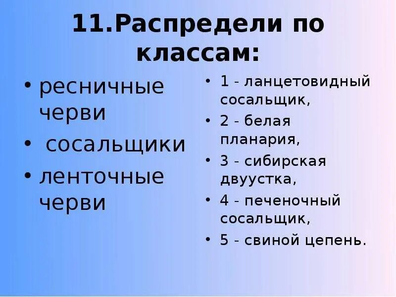 Тесты по червям 7. Тест по плоским червям. Тест плоские черви. Тест по плоским червям студариум.