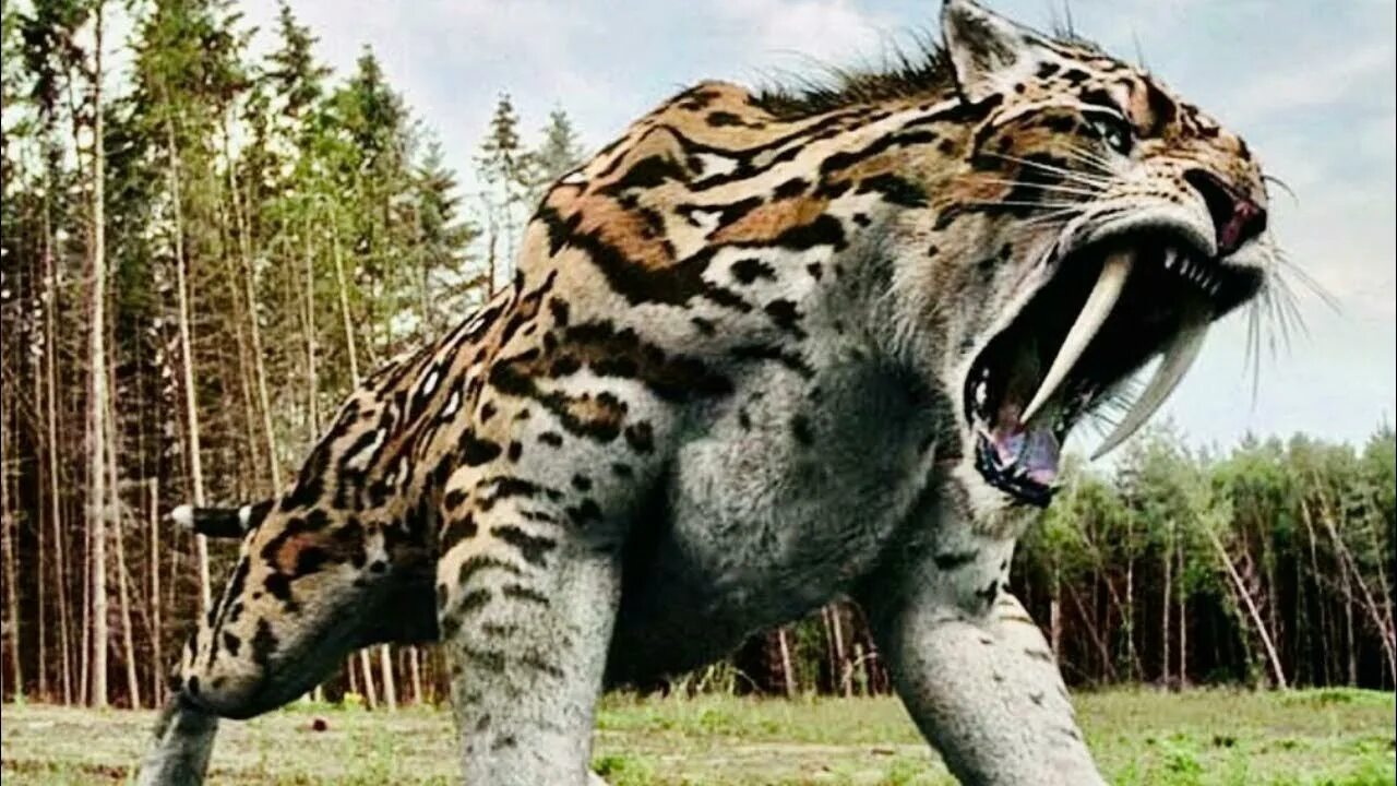 Тяжелые виды животных