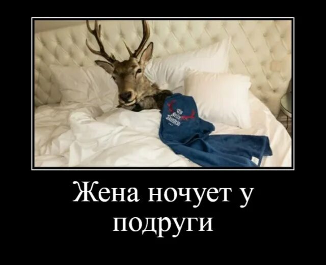 Воюю ночую
