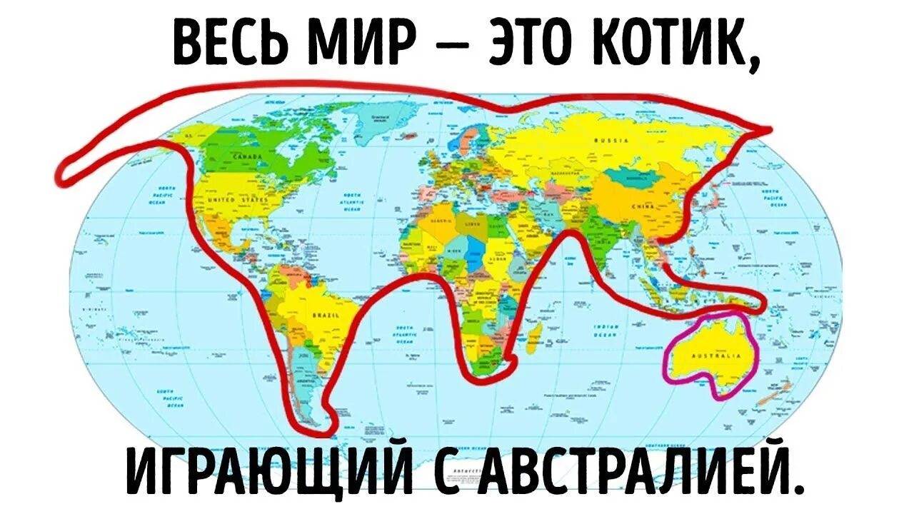 Насколько мир. Весь мир это кот играющий в Австралию. Весь мир это котик. Кот играющий в Австралию.