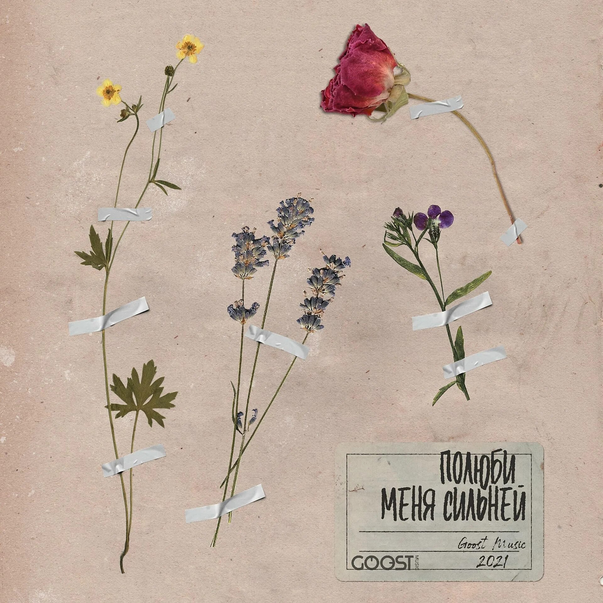 Я нарву тебе цветов песни. Песня ты не любишь розы окей я. Ты не люблю розы окей я нарву тебе цветов со всех полей эмодзи. Nikitata полюби меня. Ты не любишь розы о'кей.