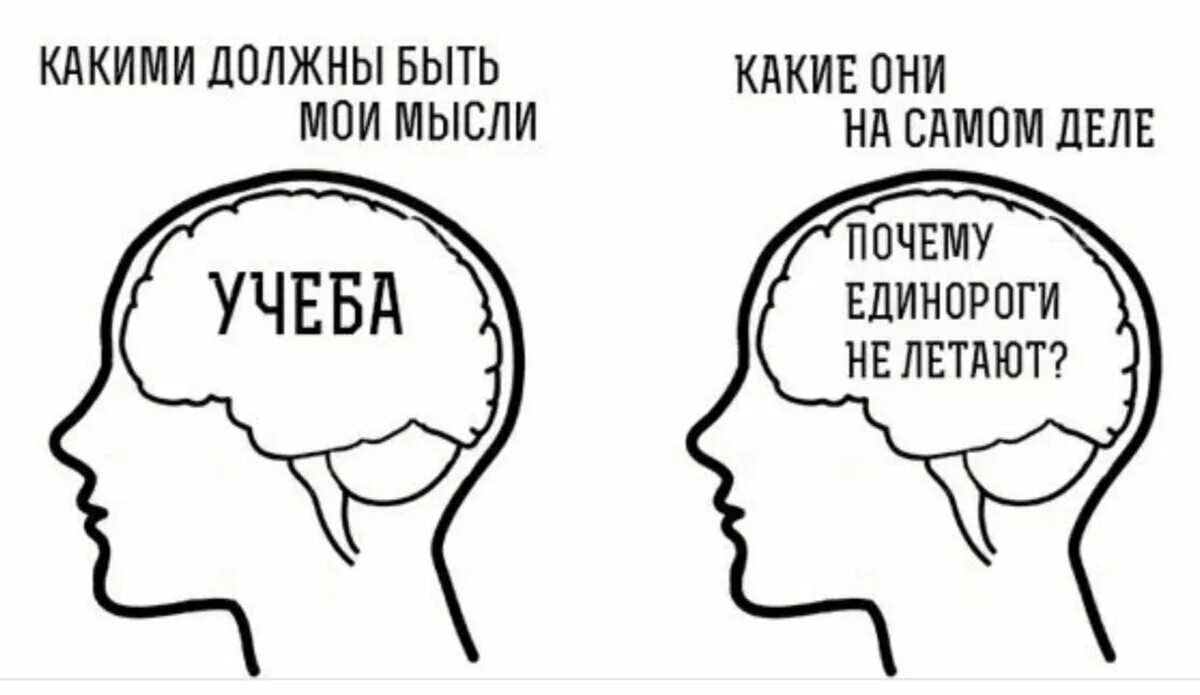 Мысли тебе передам. Мысли Мем. Мемы про мысли. Мем мысли и слова. Мысли человека Мем.