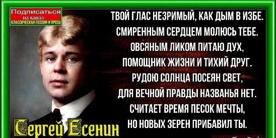 И не ахай жизнь держи. Есенин твой глас незримый. Стихи Есенина с матом. Стих Есенина изба.