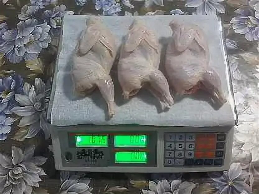 Вес тушки