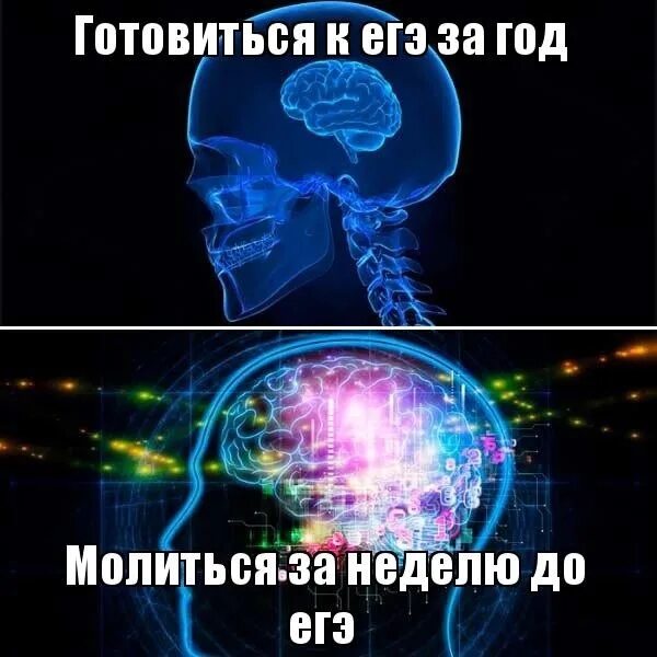 Если бы попросили людей егэ. Мемы про ЕГЭ по английскому. Подготовка к ЕГЭ Мем. Смешные мемы про ЕГЭ. Мемы про подготовку к ЕГЭ.