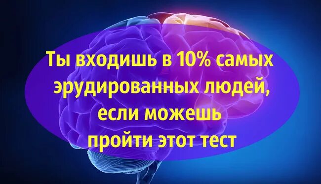 Ответ на общую эрудицию. Самые сложные тесты на интеллект и эрудицию. Тесты на эрудицию с ответами.