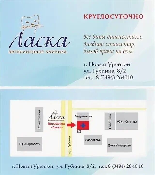 Адрес ветклиники ласка. Номер телефона ласка биробиджан ветеренарная палеклиника. Ласка биробиджан телефон. Ветклиника биробиджан. Адрес ветклиники ласка.