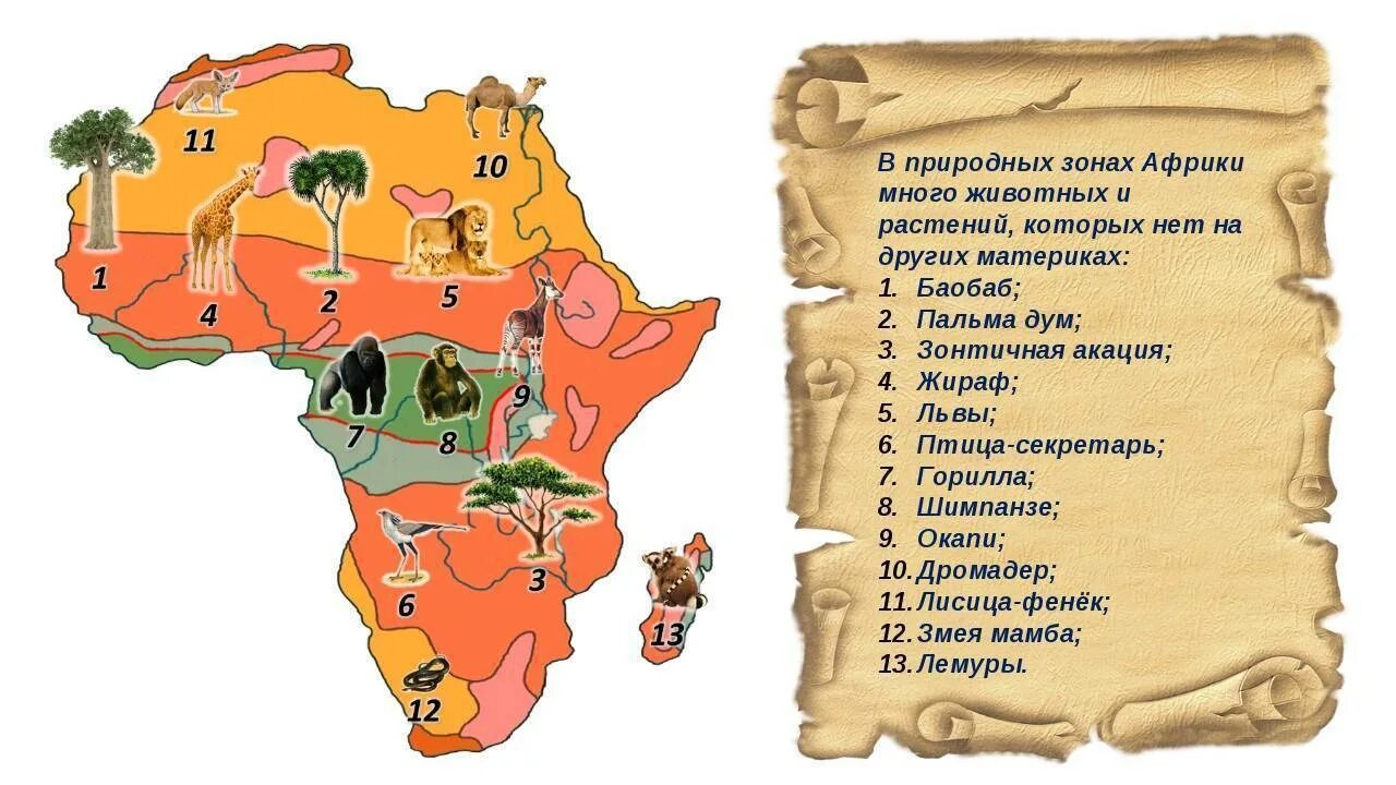 Материк куда детям ходить не рекомендуется. Карта растительности африки. природные зоны африки 7 класс география. карта природных зон африки 7 класс. природные зоны материка африка.