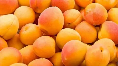 Вкуснейший абрикоса