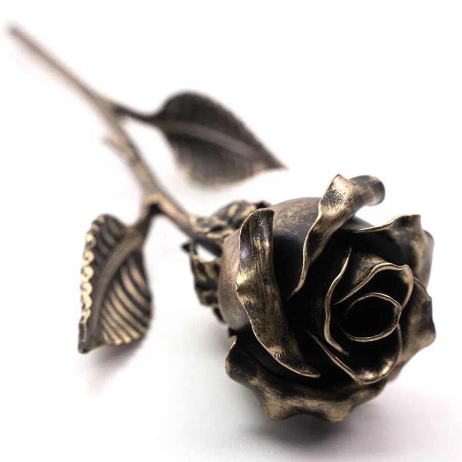 Бронза roseau. Коричневые розы. Rose bronze. Rose bronze. Цветы из бронзы.