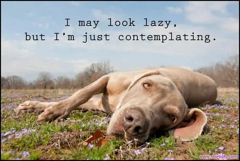 Lazy but