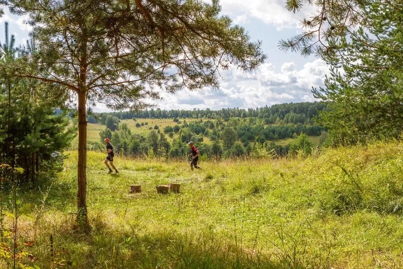 Галичское Заозерье. Заозерье Галич. Рогейн в Галичском Заозерье. Галическое заозёрье 2023. Результаты галичского заозерья 2024