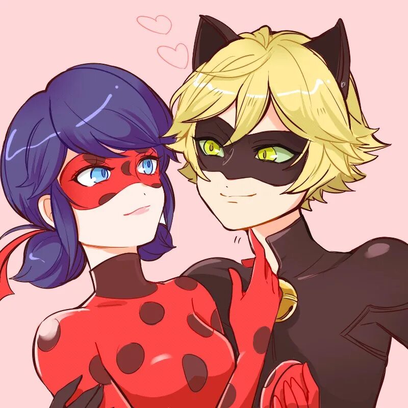 Ladybug cat noir
