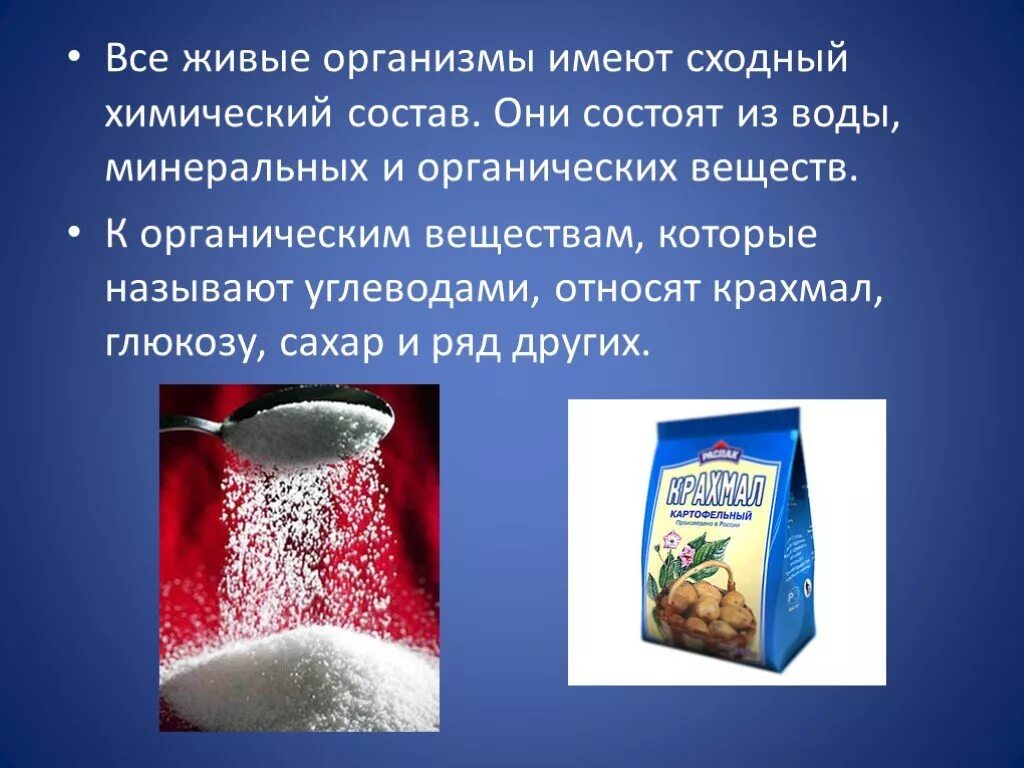 Живые организмы имеют сходный химический. Химический состав растений. Все организмы имеют сходный химический состав. Все живые организмы имеют сходный химический состав. Крахмал относится к группе