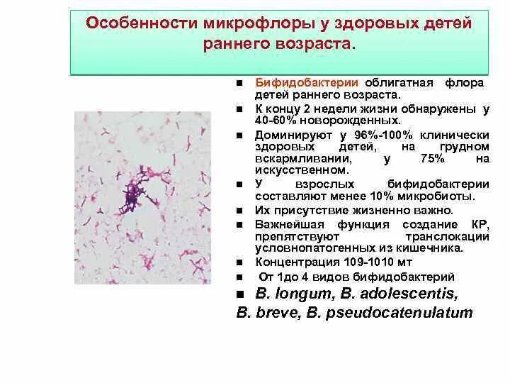 Повышенное содержание аэробной микрофлоры. Особенности формирования микрофлоры у детей. функции кишечной микрофлоры микробиология. формирование кишечной микробиоты у новорожденного. особенности формирования нормальной микрофлоры у детей.
