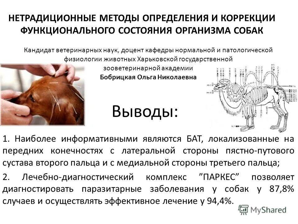 Открытия и. Павлов создал учение о. Развитие физиологии деятельность д. История развития физиологии. Развитие физиологии животных.