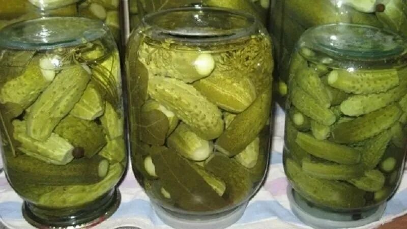 Фузариозное увядание томатов. Солёные огурцы. Что делать с вскрывшимися огурцами. Огурцы схема подкормок. Сокирки полевые плод.