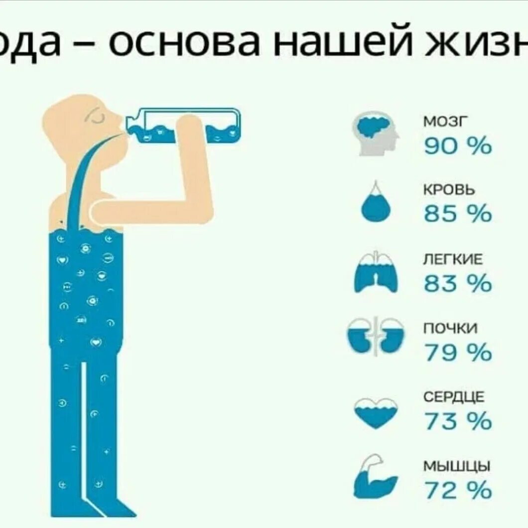 Сколько жидкостей в организме. Человек на 70 процентов состоит из воды. Человек состоит изьводы. На сколько процентов человек состоит из воды. Тело человека состоит из воды.